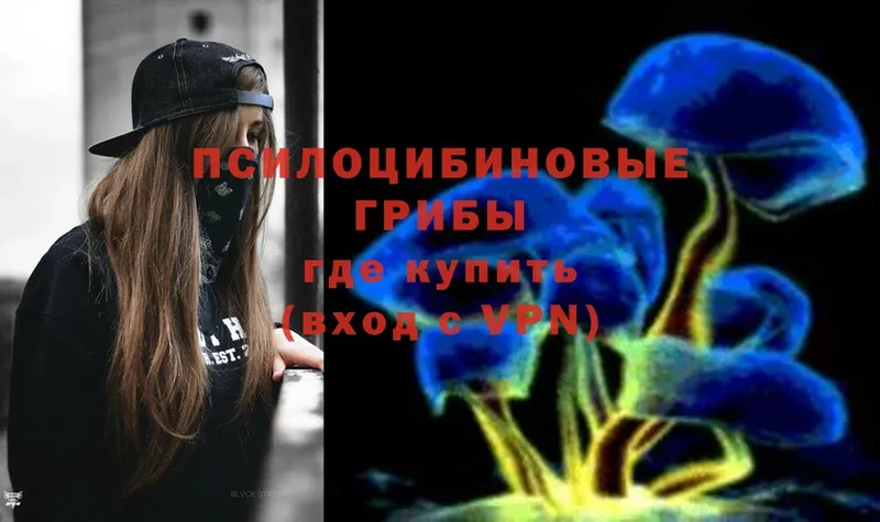 купить наркоту  Коммунар  Галлюциногенные грибы Magic Shrooms 